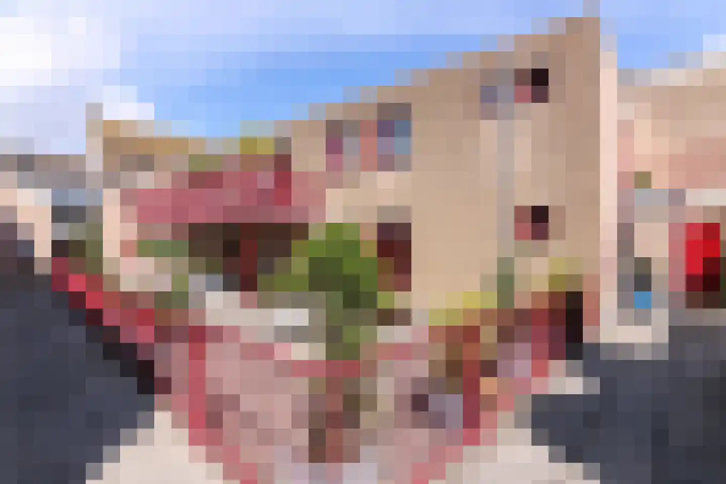 Dorpsplein 39 Rockanje thumbnail 44