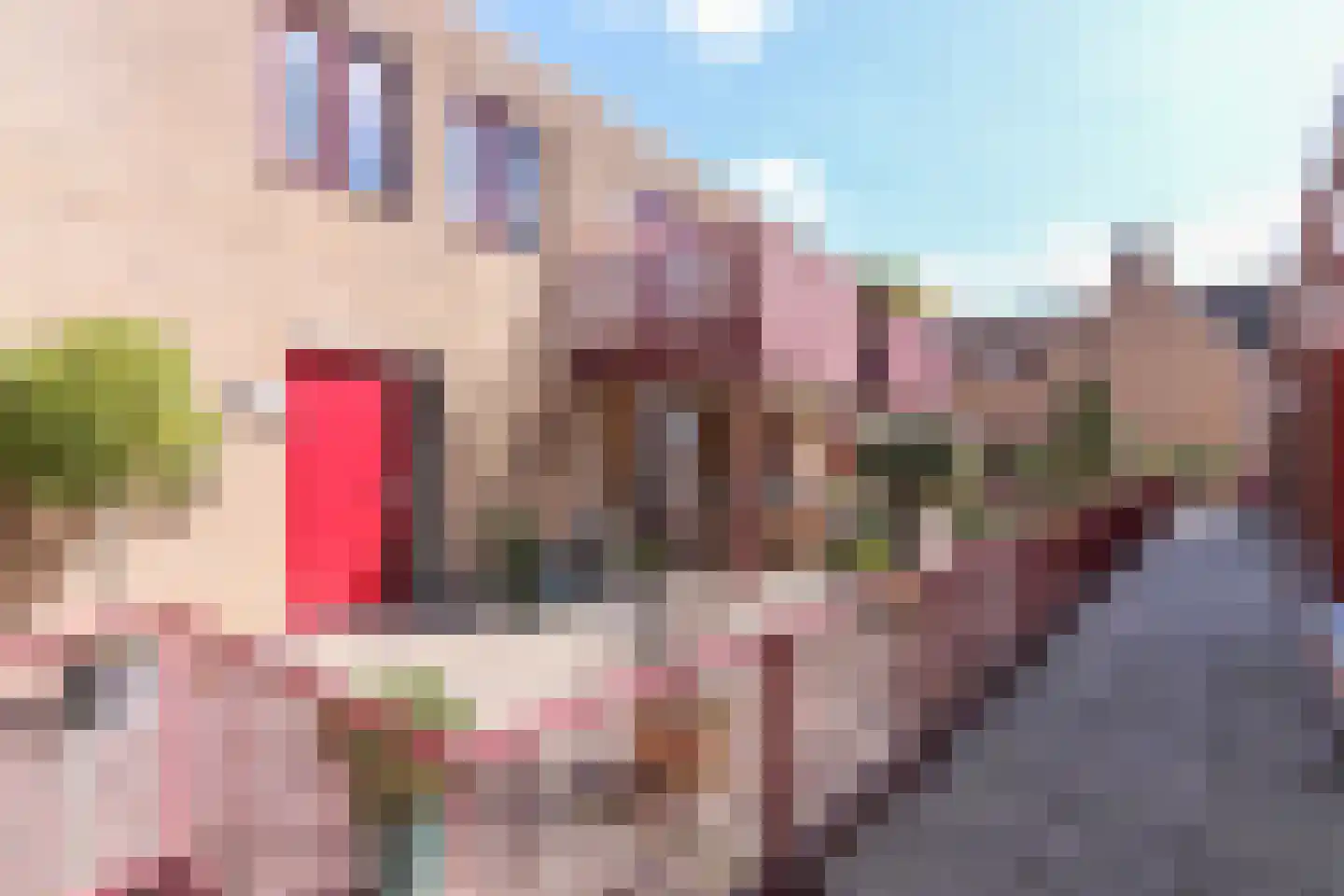 Dorpsplein 39 Rockanje thumbnail 45
