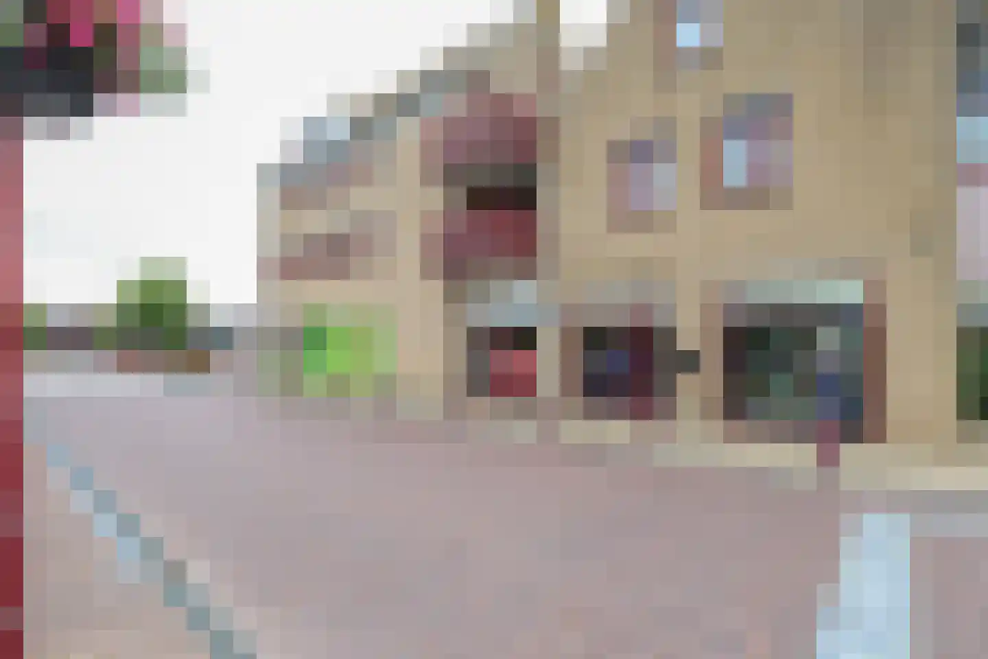 Dorpsplein 39 Rockanje thumbnail 49