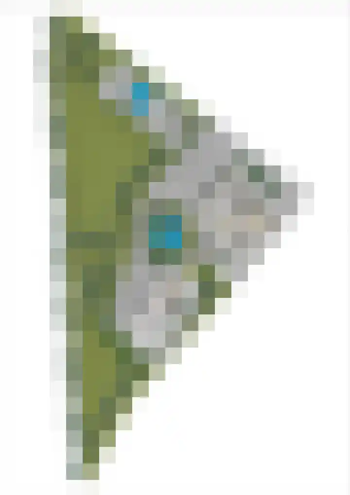 Dorpsplein 4 Kesteren thumbnail 110