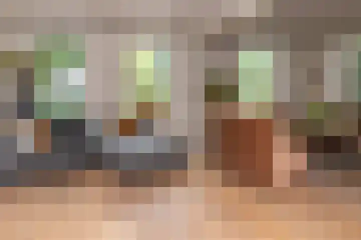 Dorpsplein 4 Kesteren thumbnail 13