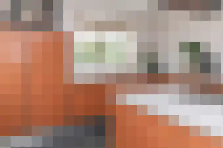 Dorpsplein 4 Kesteren thumbnail 21