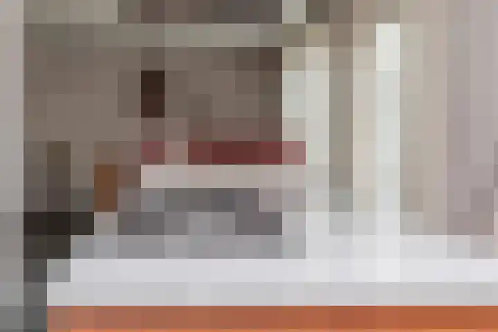 Dorpsplein 4 Kesteren thumbnail 22