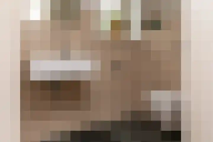 Dorpsplein 4 Kesteren thumbnail 23