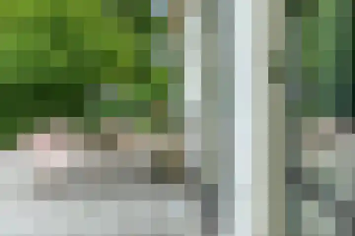Dorpsplein 4 Kesteren thumbnail 41