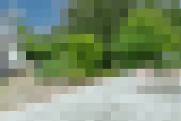 Dorpsplein 4 Kesteren thumbnail 42
