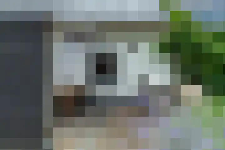 Dorpsplein 4 Kesteren thumbnail 43