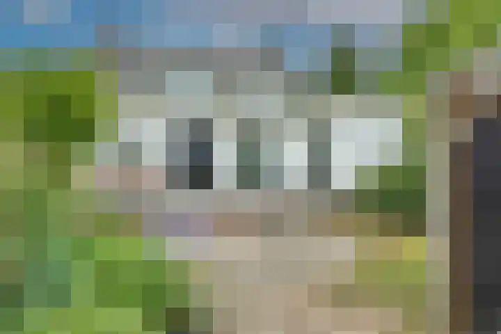 Dorpsplein 4 Kesteren thumbnail 44