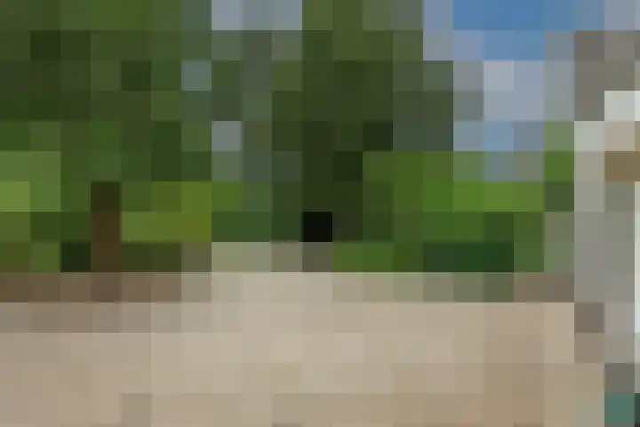 Dorpsplein 4 Kesteren thumbnail 50
