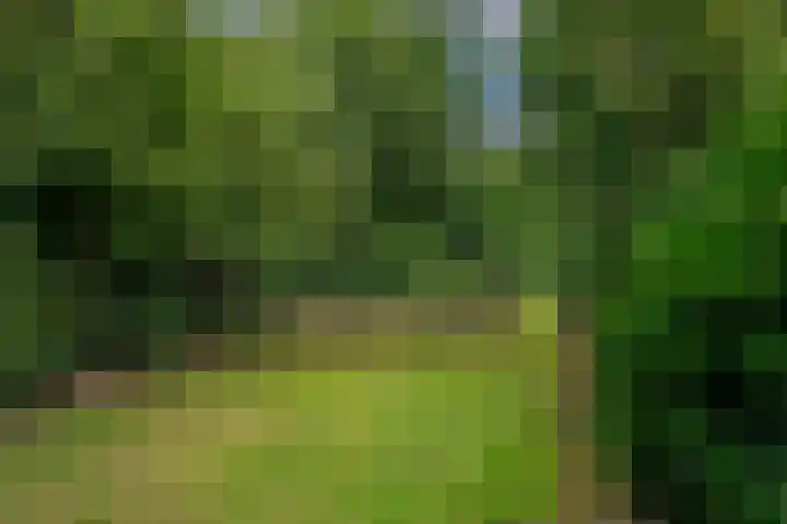 Dorpsplein 4 Kesteren thumbnail 51