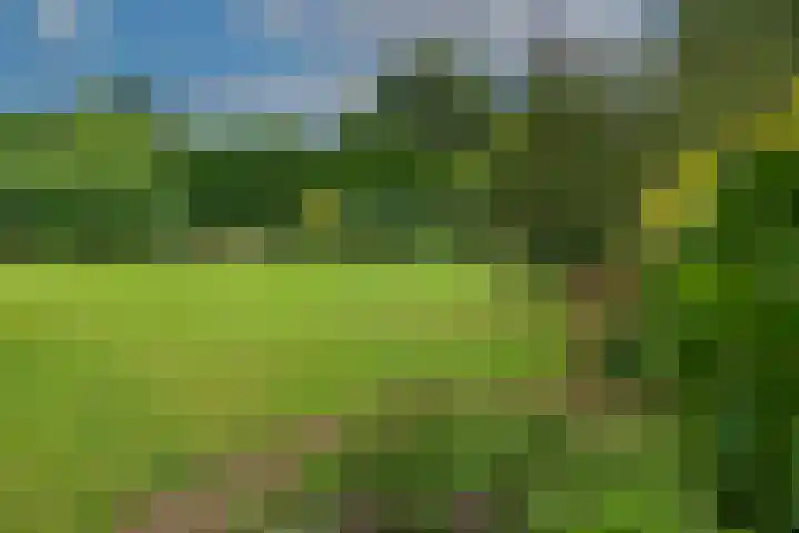 Dorpsplein 4 Kesteren thumbnail 54
