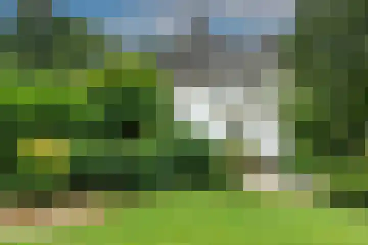 Dorpsplein 4 Kesteren thumbnail 56