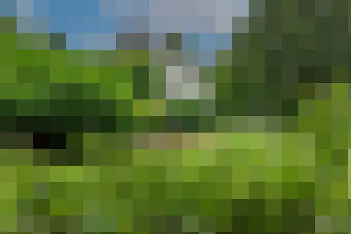 Dorpsplein 4 Kesteren thumbnail 57