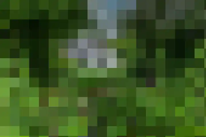 Dorpsplein 4 Kesteren thumbnail 59