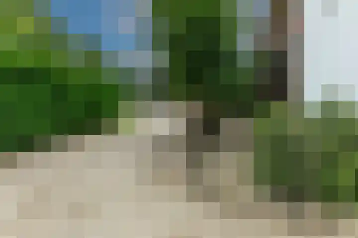 Dorpsplein 4 Kesteren thumbnail 60
