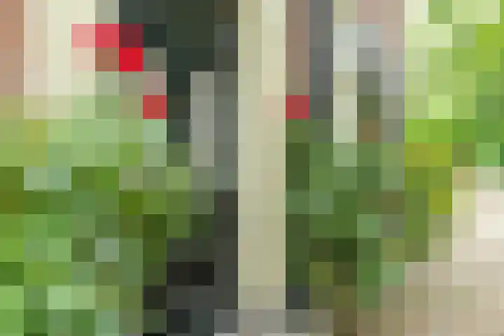 Dorpsplein 4 Kesteren thumbnail 62