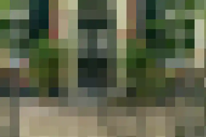 Dorpsplein 4 Kesteren thumbnail 63