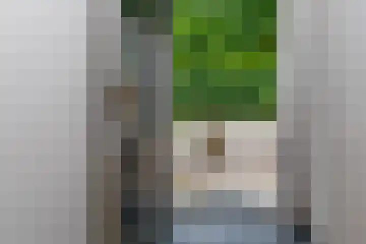 Dorpsplein 4 Kesteren thumbnail 64