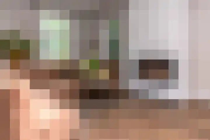 Dorpsplein 4 Kesteren thumbnail 67