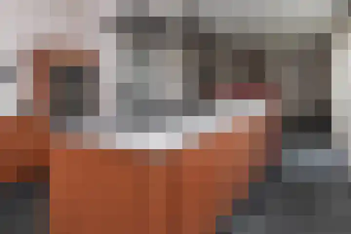 Dorpsplein 4 Kesteren thumbnail 69