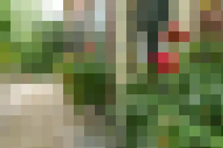 Dorpsplein 4 Kesteren thumbnail 7