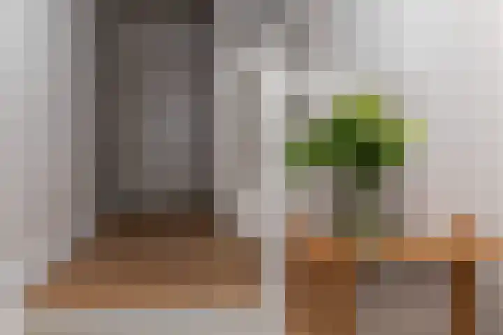 Dorpsplein 4 Kesteren thumbnail 79