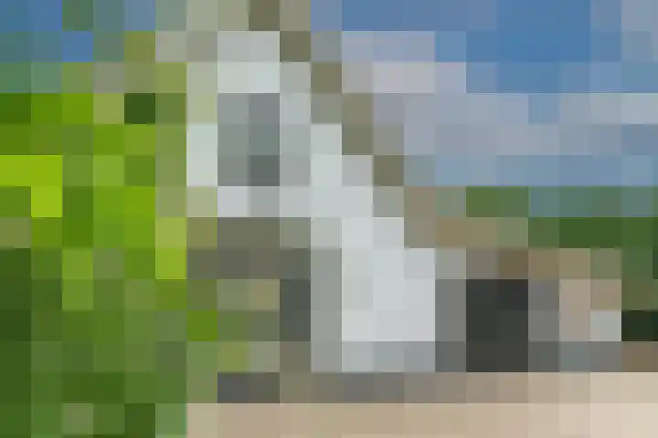 Dorpsplein 4 Kesteren thumbnail 85
