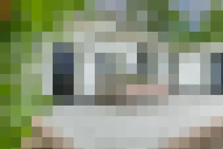 Dorpsplein 4 Kesteren thumbnail 87