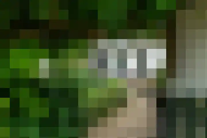 Dorpsplein 4 Kesteren thumbnail 90