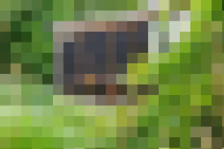 Dorpsplein 4 Kesteren thumbnail 91