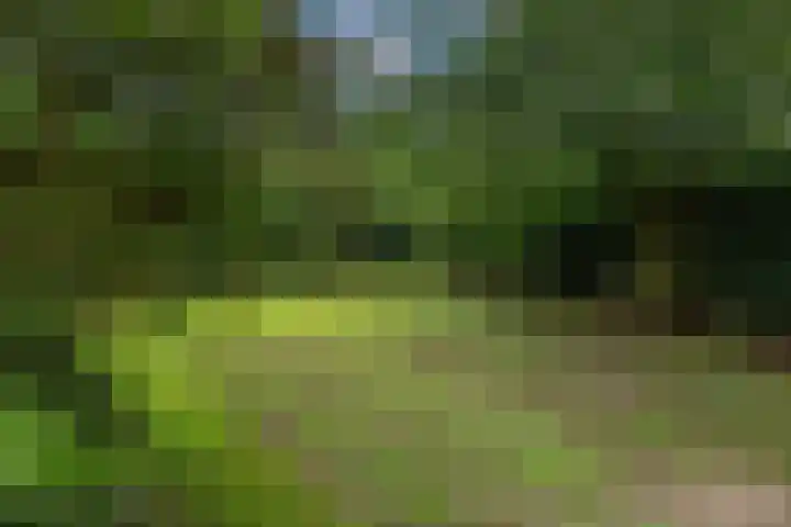 Dorpsplein 4 Kesteren thumbnail 92