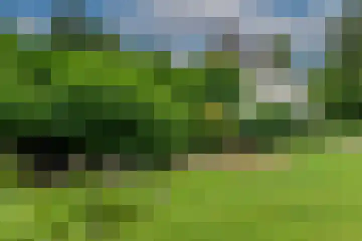 Dorpsplein 4 Kesteren thumbnail 97