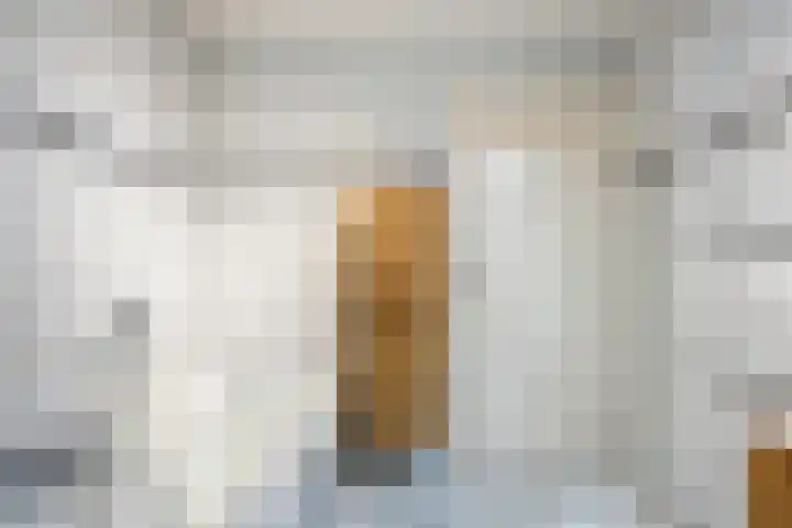 Dorpsplein 4 Nisse thumbnail 18