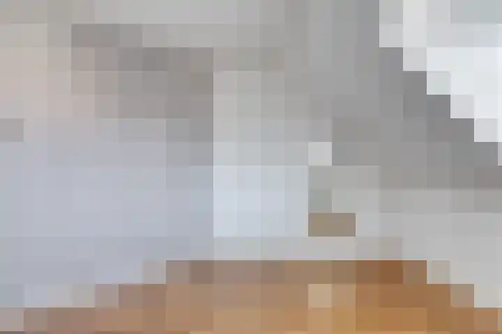 Dorpsplein 4 Nisse thumbnail 21