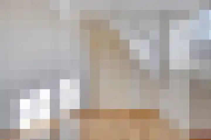 Dorpsplein 4 Nisse thumbnail 24