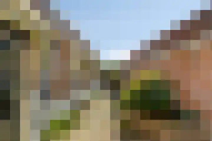 Dorpsplein 4 Nisse thumbnail 28