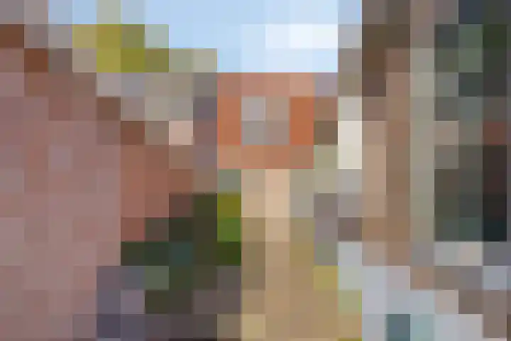 Dorpsplein 4 Nisse thumbnail 30