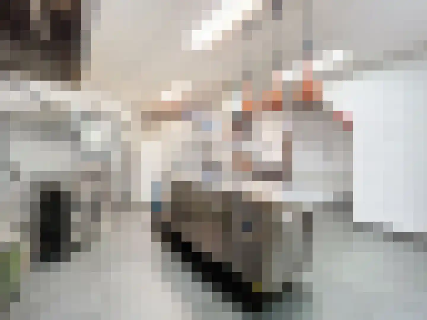 Dorpsplein 4 Zuidzande thumbnail 17