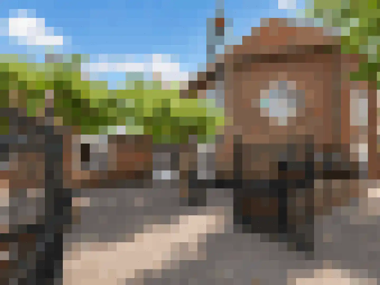 Dorpsplein 4 Zuidzande thumbnail 20