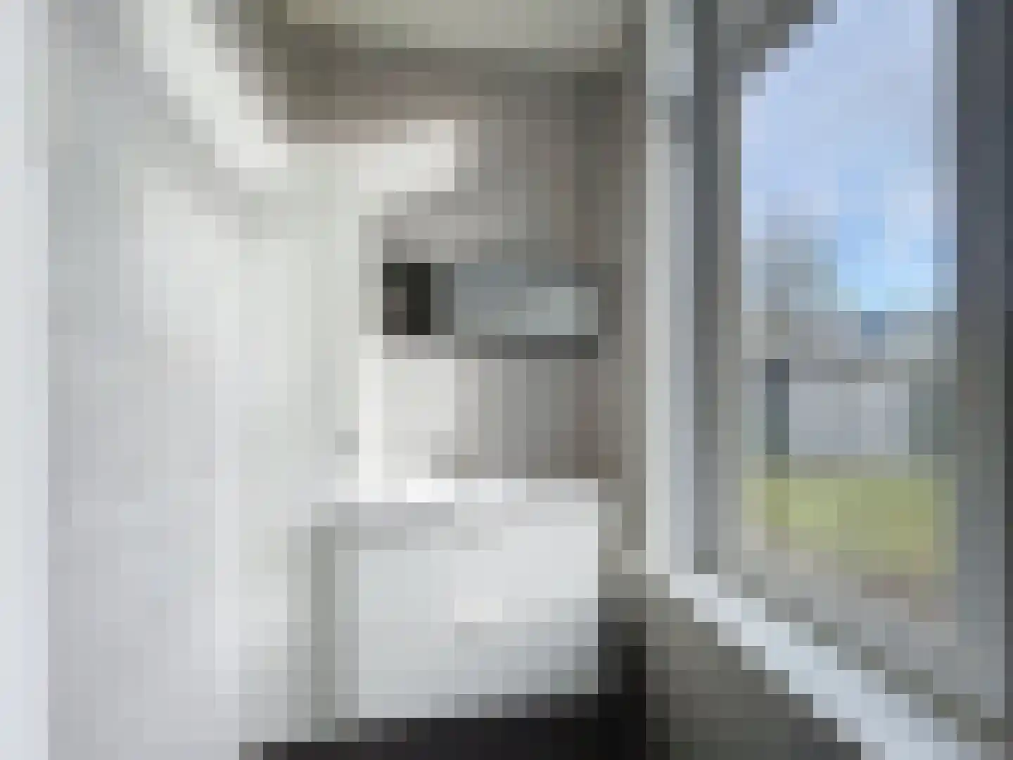 Dorpsplein 4 Zuidzande thumbnail 32