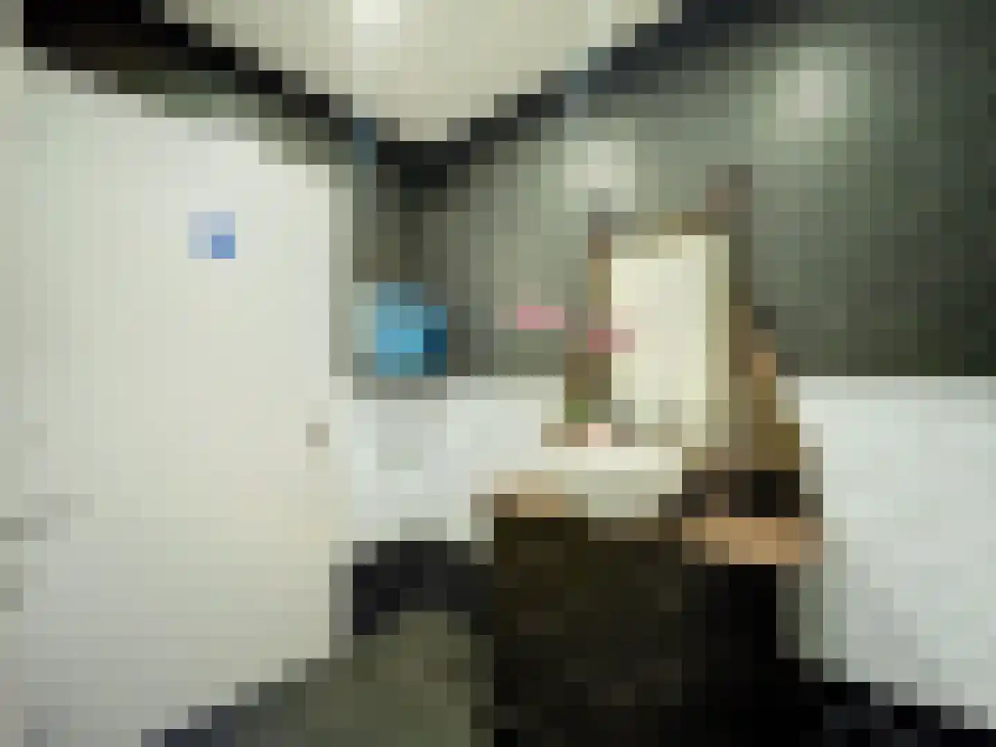 Dorpsplein 4 Zuidzande thumbnail 41