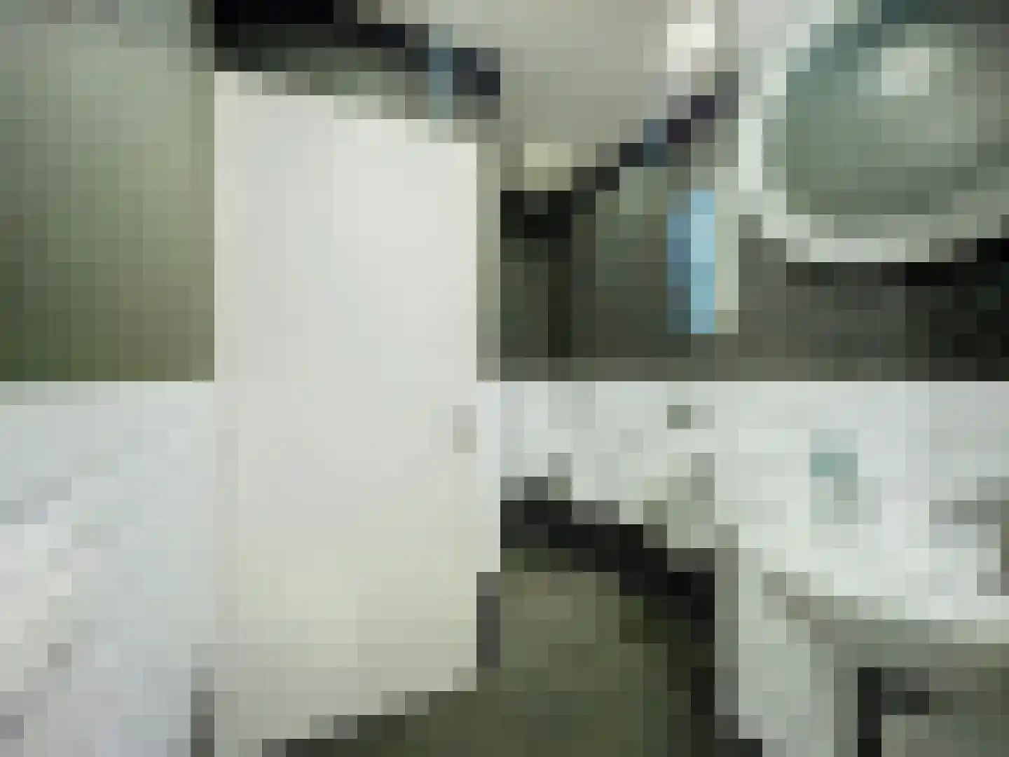 Dorpsplein 4 Zuidzande thumbnail 42