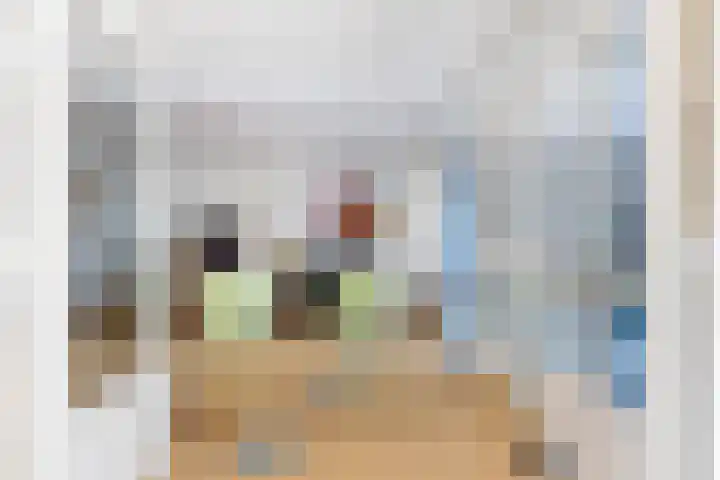 Dorpsplein 5 Beesd thumbnail 13