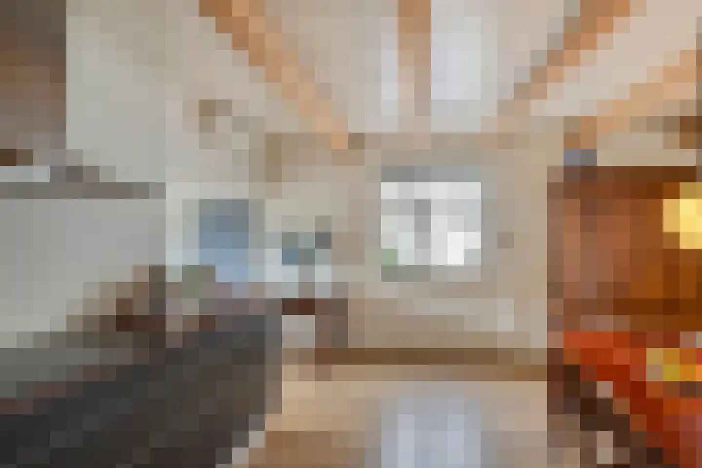 Dorpsplein 5 Geervliet thumbnail 12