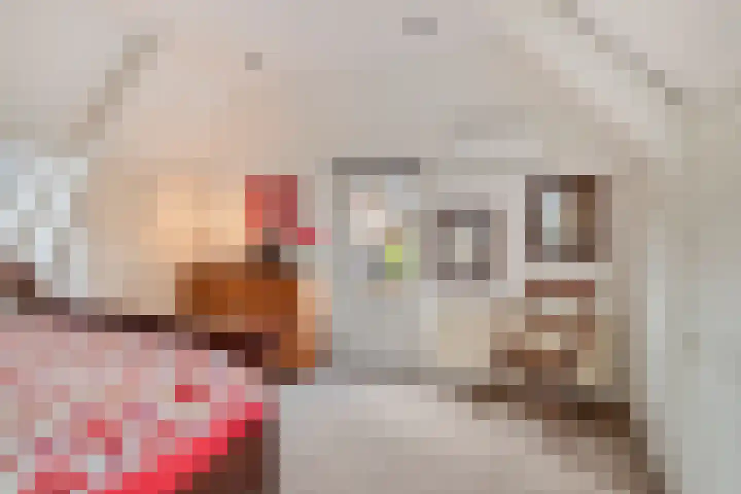Dorpsplein 5 Geervliet thumbnail 22