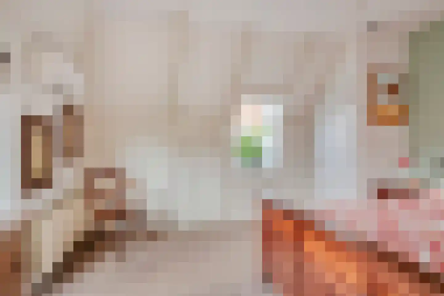 Dorpsplein 5 Geervliet thumbnail 24