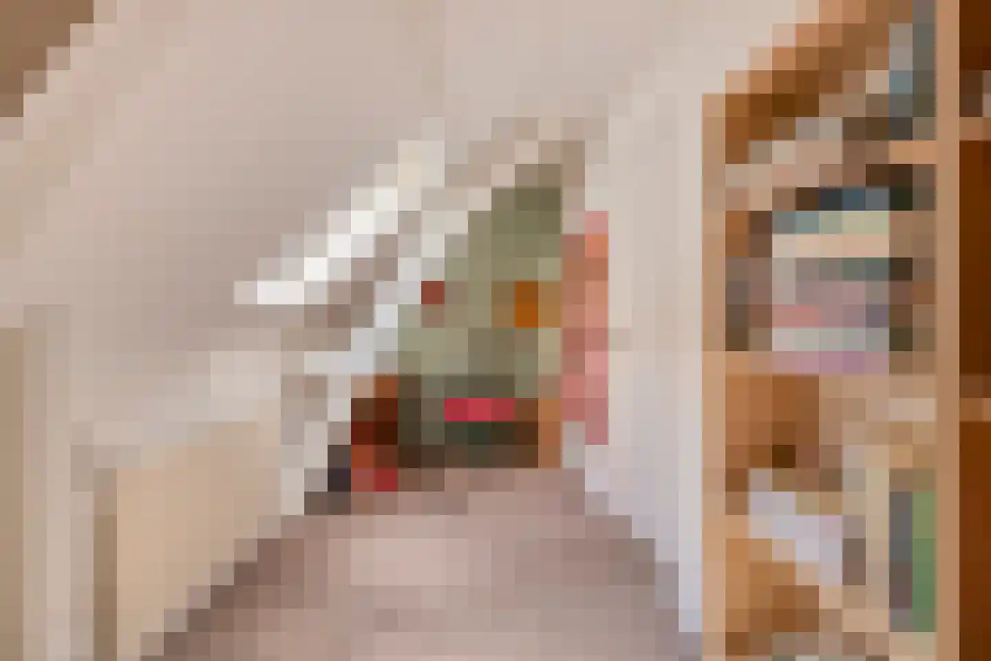 Dorpsplein 5 Geervliet thumbnail 31