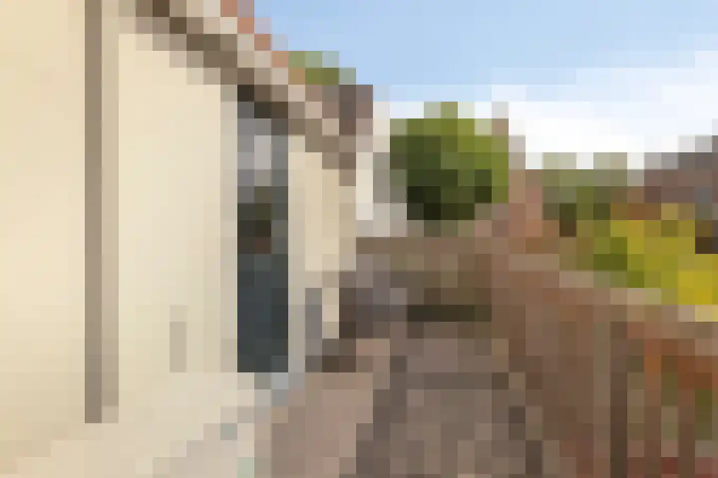 Dorpsplein 5 Geervliet thumbnail 32