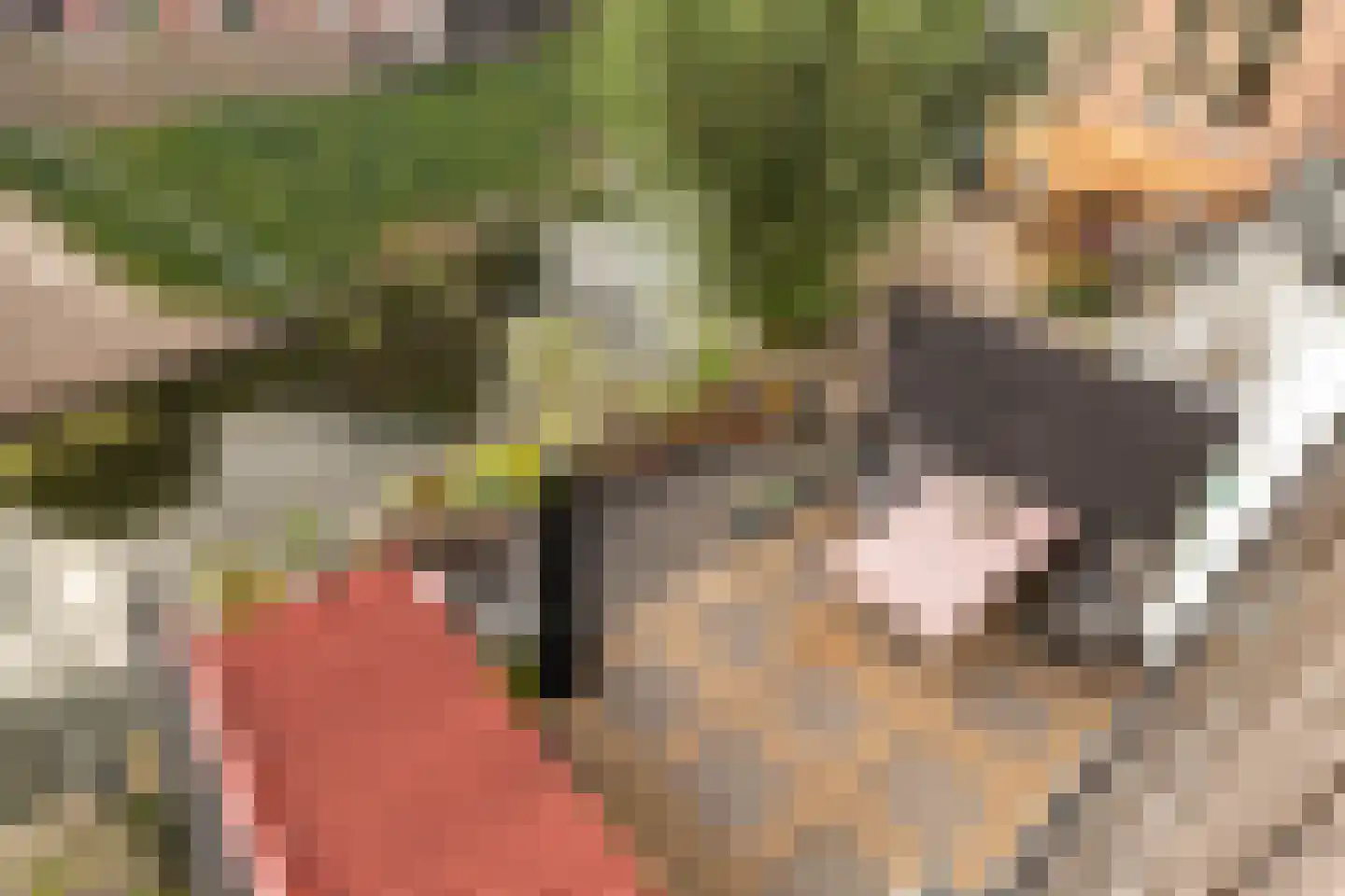 Dorpsplein 5 Geervliet thumbnail 36