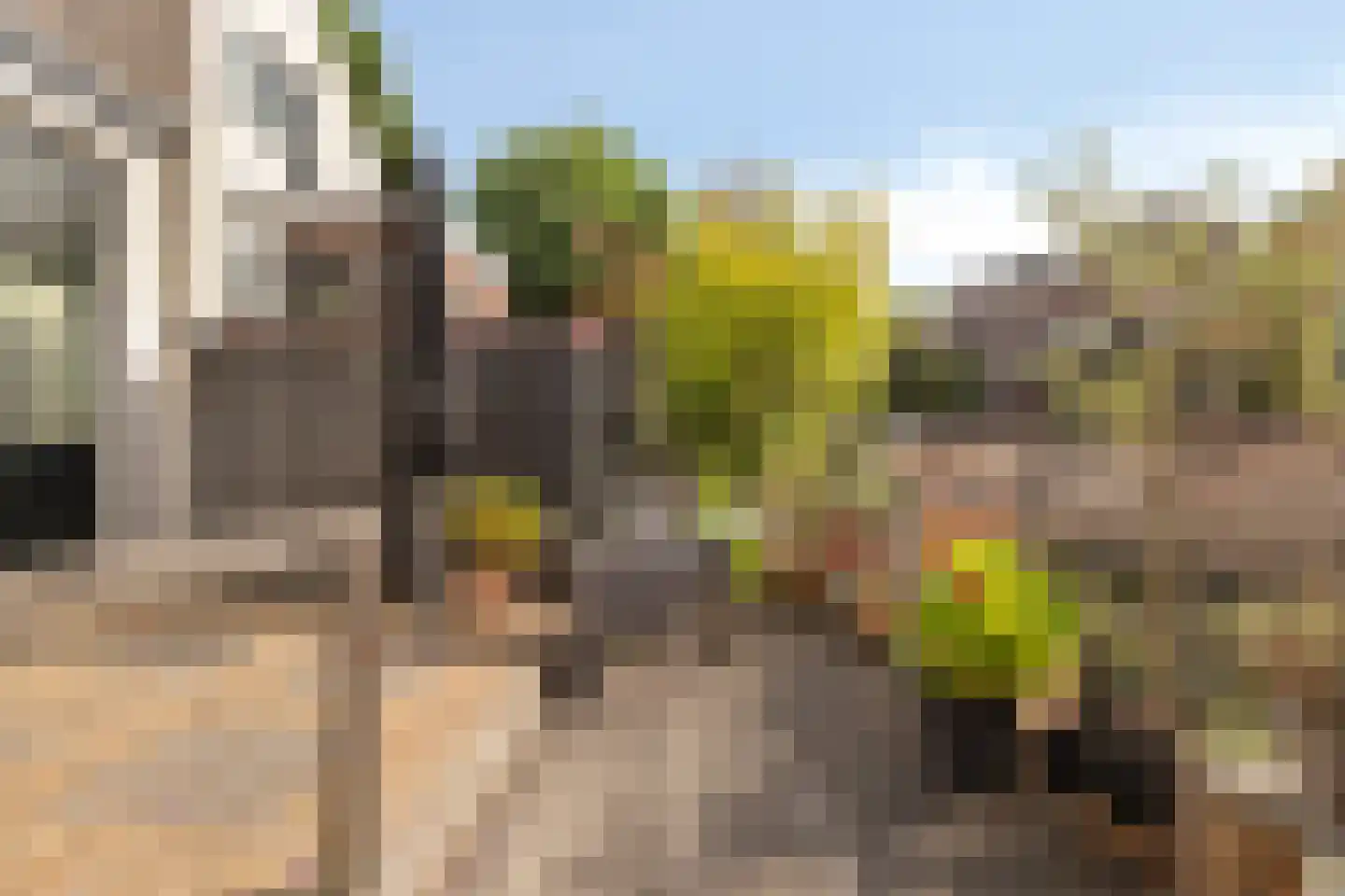 Dorpsplein 5 Geervliet thumbnail 40